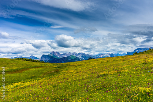 Alpe di Siusi  Seiser Alm with Sassolungo Langkofel Dolomite  a large green field under a cloudy blue sky