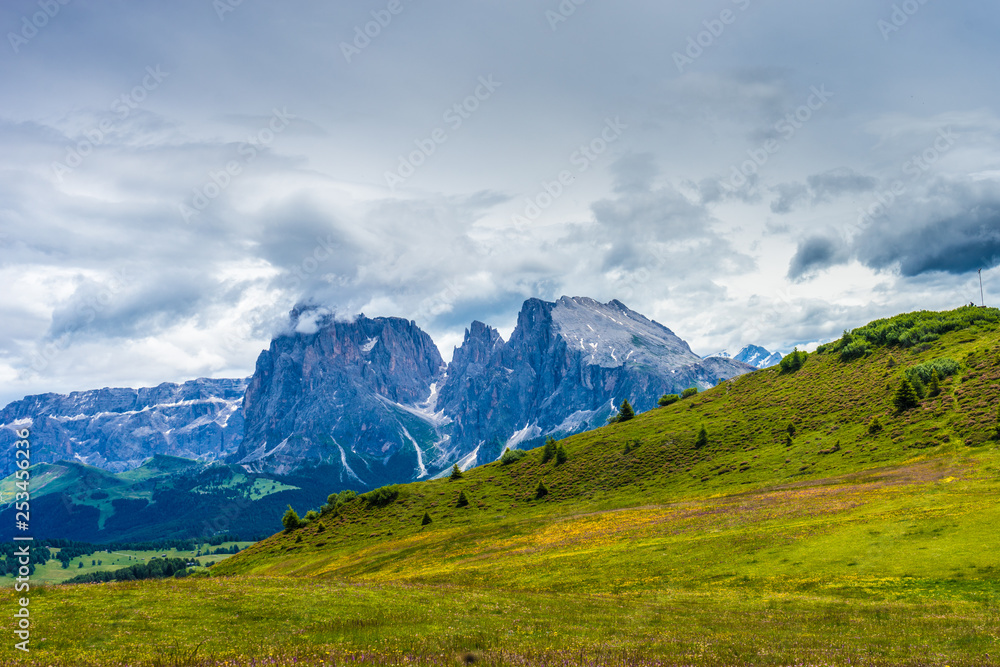 Alpe di Siusi, Seiser Alm with Sassolungo Langkofel Dolomite, a large mountain in the background