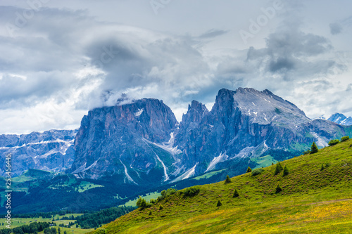 Alpe di Siusi, Seiser Alm with Sassolungo Langkofel Dolomite, a large mountain in the background