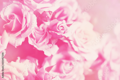 Delicate background with a rose. Pastel background, calm colors. Place to insert text. For card and banner. Sweet color roses in soft style for background