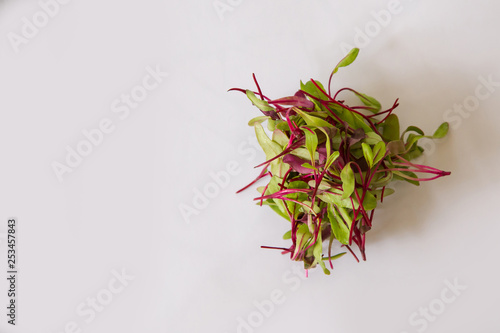 Micro crimson leaf delicate mix of red chard beetroot and mustard leaves