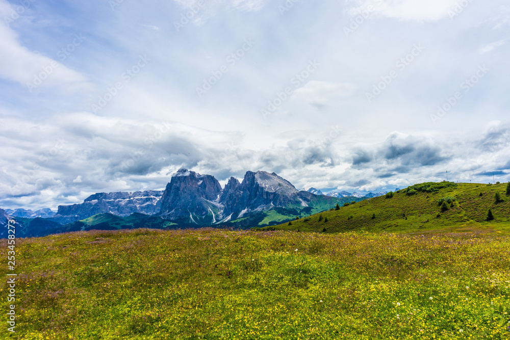 Alpe di Siusi, Seiser Alm with Sassolungo Langkofel Dolomite, a large green field with a mountain in the background