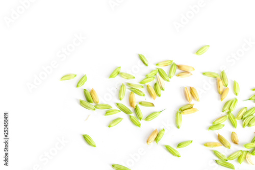 seeds green rice for design