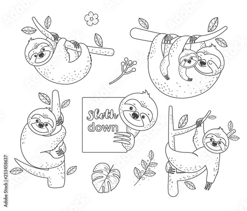 Set of outline sloth sitting on a branch. Coloring Pages