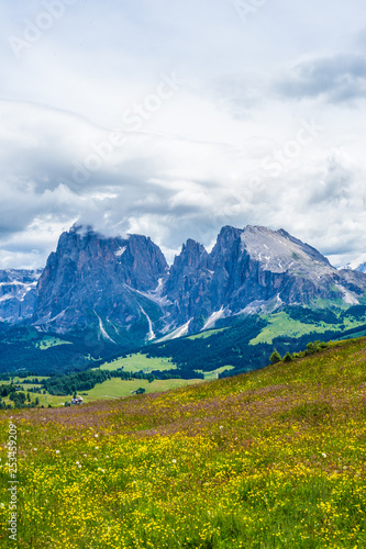 Alpe di Siusi, Seiser Alm with Sassolungo Langkofel Dolomite, a field with a mountain in the background © SkandaRamana