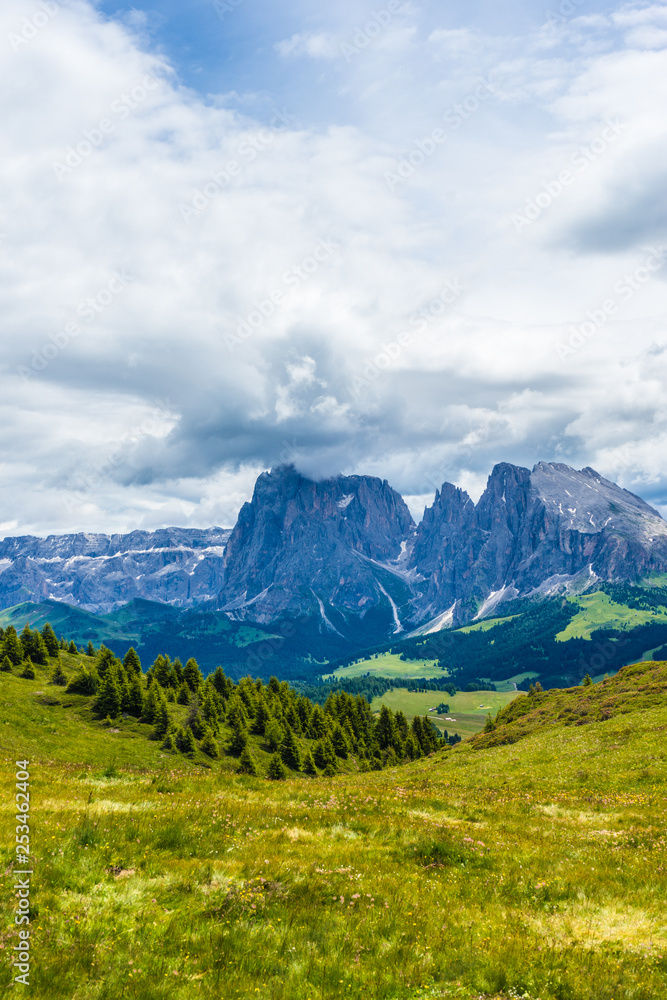 Alpe di Siusi, Seiser Alm with Sassolungo Langkofel Dolomite, a large mountain in the background Alpe di Siusi, Seiser Alm with Sassolungo Langkofel Dolomite, a large mountain in the background