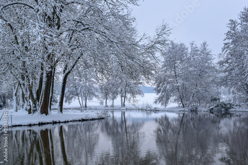 Frozen Lake Reflection in French Countryside during Christmas Season / Winter