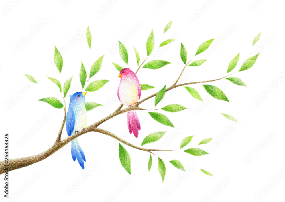 木の枝と2羽の鳥 Stock イラスト Adobe Stock