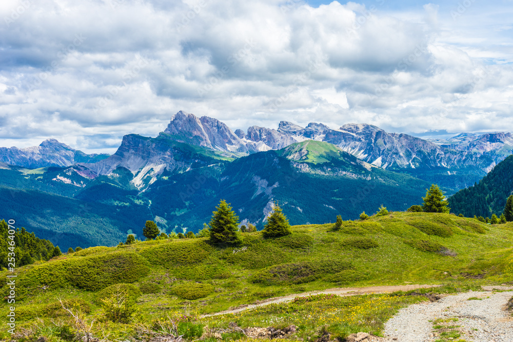 Alpe di Siusi, Seiser Alm with Sassolungo Langkofel Dolomite, a trekking walking winding path in a lush green field