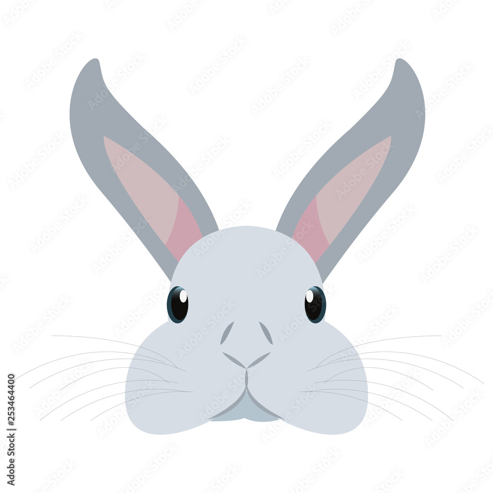 cute head rabbit cute head rabbit