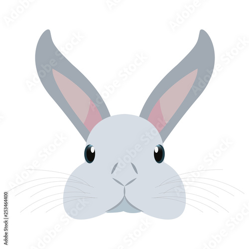 cute head rabbit