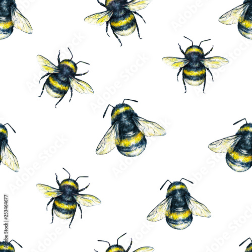 Bumblebee on a white background. Watercolor drawing. Insects art. Handwork. Seamless pattern