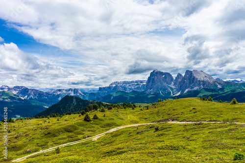 Alpe di Siusi  Seiser Alm with Sassolungo Langkofel Dolomite  a trekking walking winding path in a lush green field