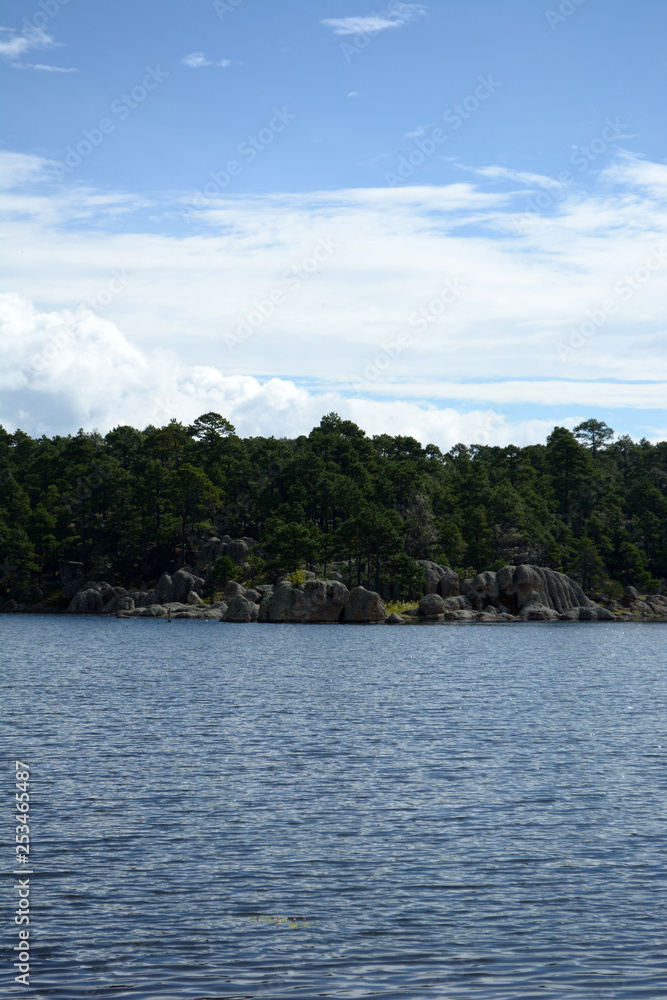 El lago y el bosque