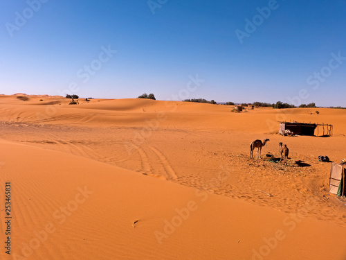 Die W  ste Sahara im S  den von Marokko. Sand und D  nen so weit das Auge reicht. Die Sandw  ste wird auch Erg genannt.