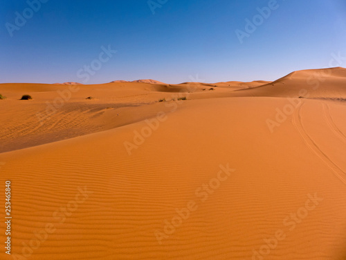 Die W  ste Sahara im S  den von Marokko. Sand und D  nen so weit das Auge reicht. Die Sandw  ste wird auch Erg genannt.