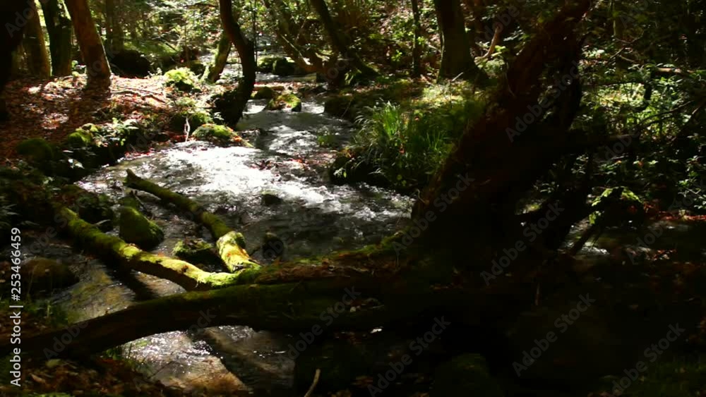 山吹水源 山吹水源