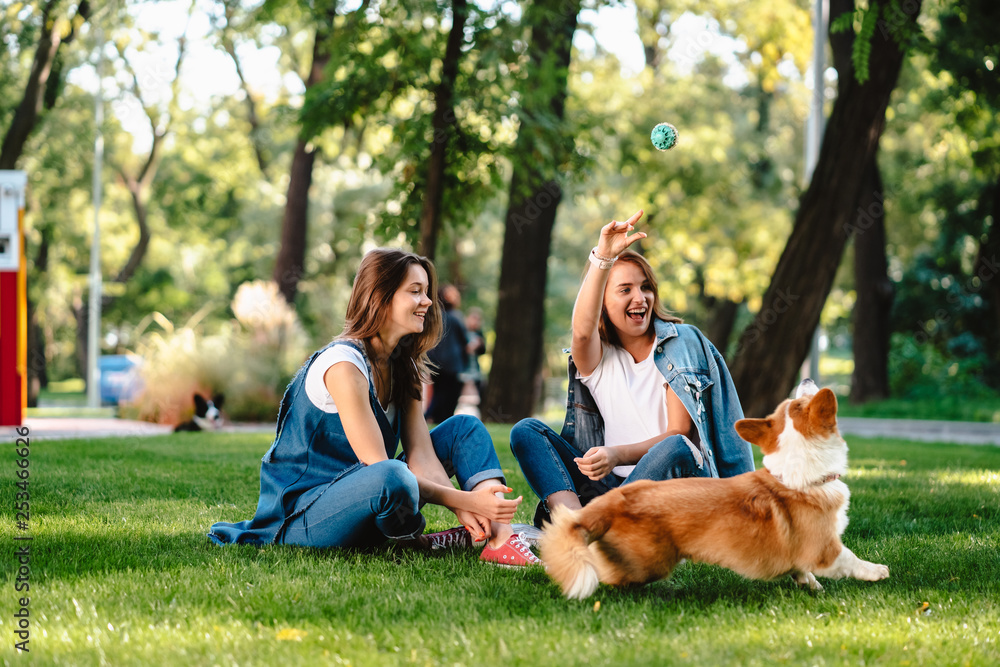 Obraz premium Two female friend in the park play with little dog