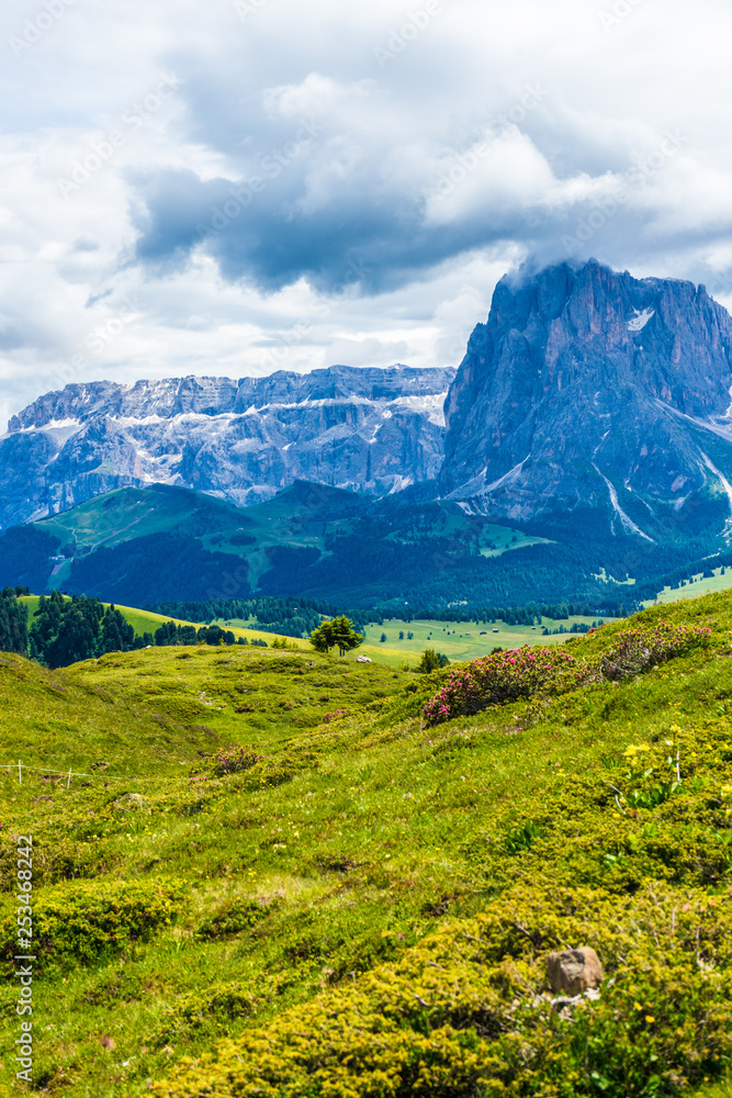 Alpe di Siusi, Seiser Alm with Sassolungo Langkofel Dolomite, a large green field with a mountain in the background