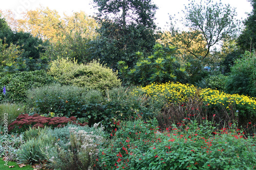 paesaggio colorato autunnale in un parco di londra