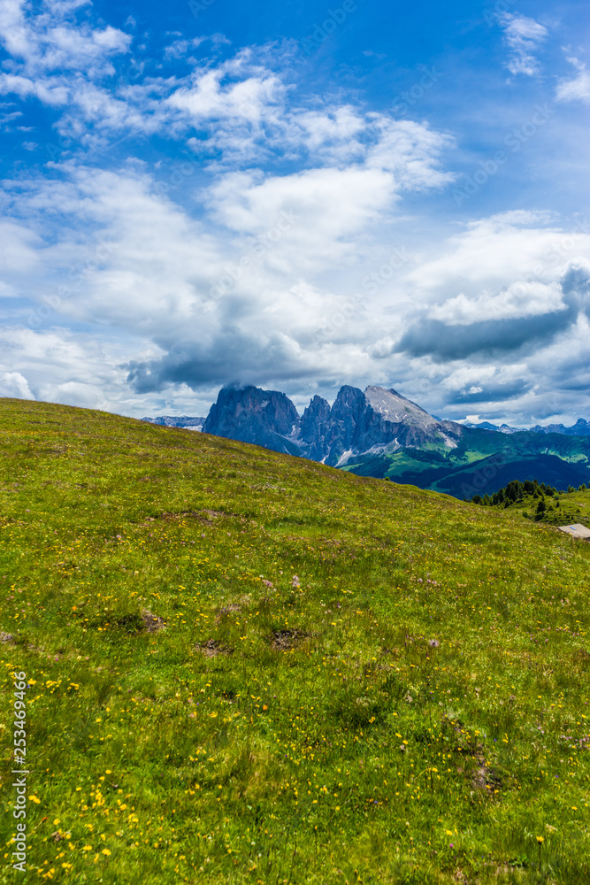 Fototapeta premium Alpe di Siusi, Seiser Alm with Sassolungo Langkofel Dolomite, a large green field with a mountain in the background