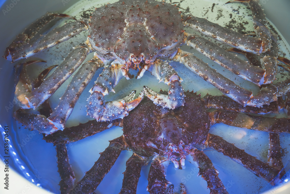 kd crabs