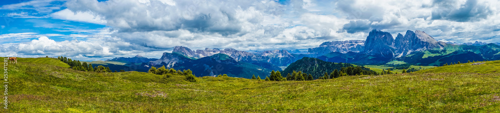 Alpe di Siusi, Seiser Alm with Sassolungo Langkofel Dolomite, a large green field with a mountain in the background panorama