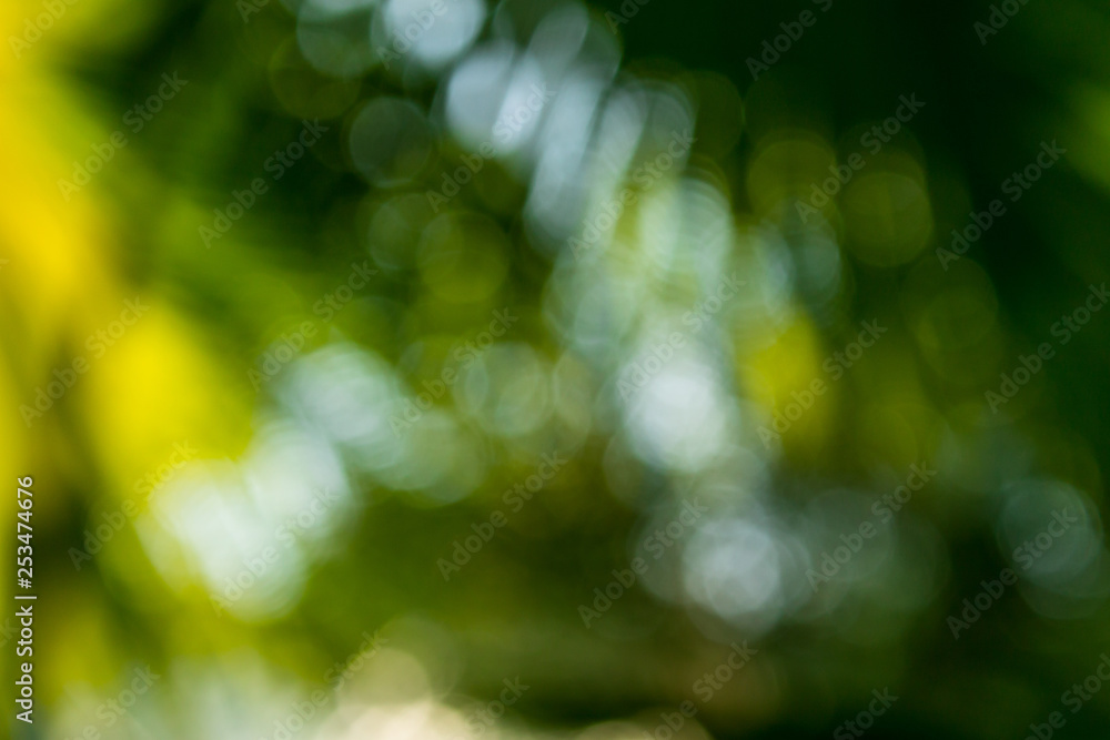 Obraz premium Background of nature