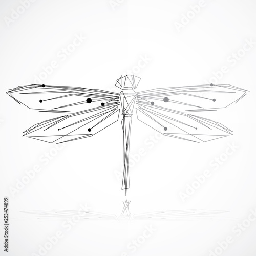 Minimalist elegant Dragonfly