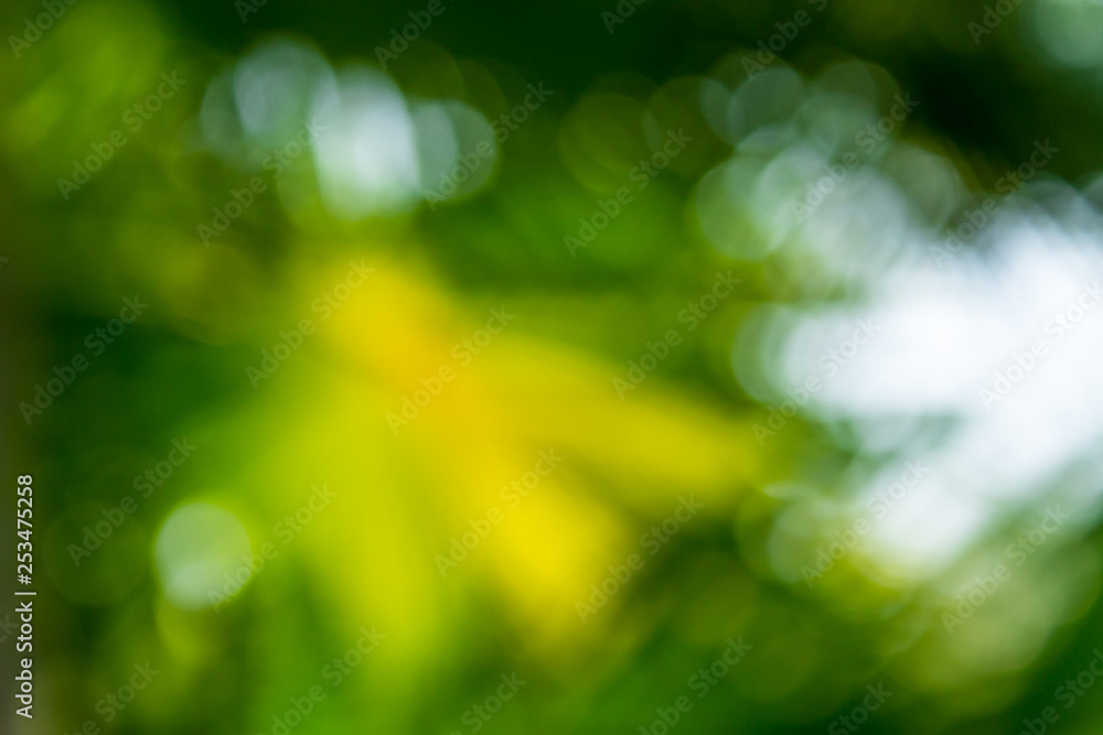 Obraz premium Background of nature