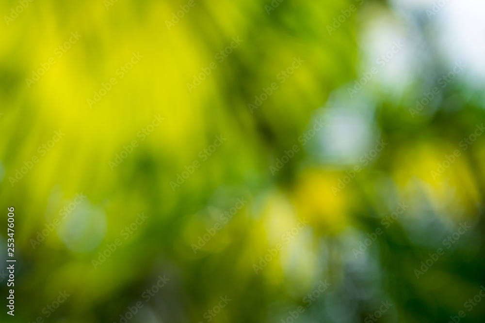 Obraz premium Background of nature