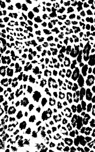 Leopard Fashion Pattern