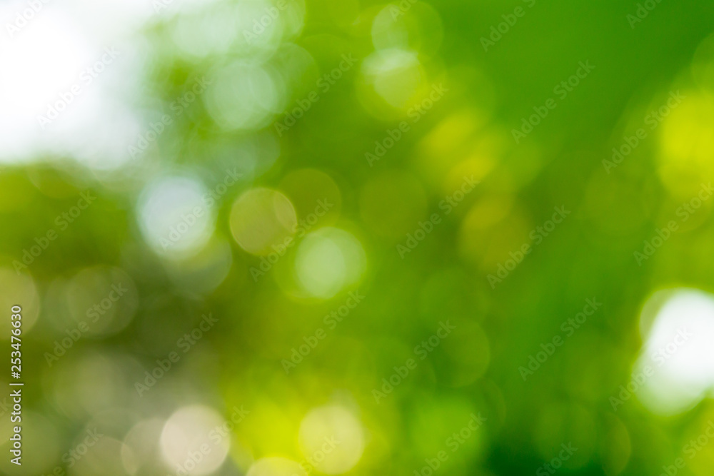 Background of nature Background of nature