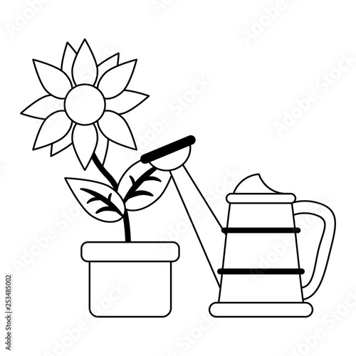 sunflower in pot and water can in black and white