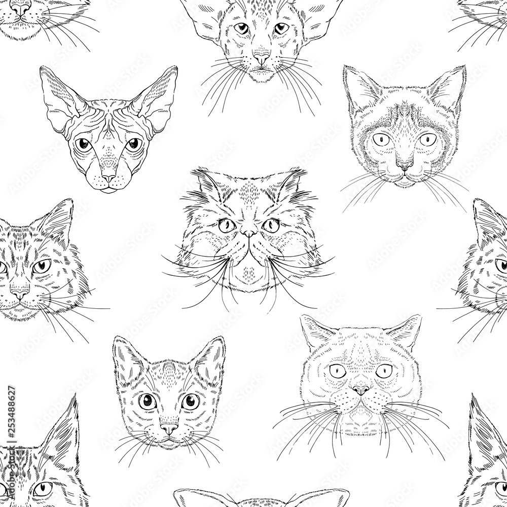 Cats portraits heads of different breeds seamless pattern. Vector black and white hand drawn graphics for textile or paper prints for cats lovers