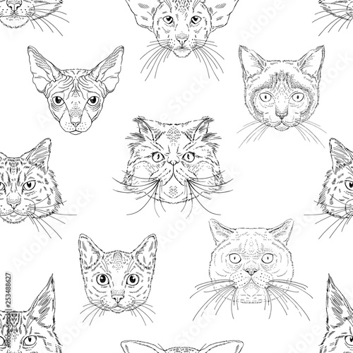 Cats portraits heads of different breeds seamless pattern. Vector black and white hand drawn graphics for textile or paper prints for cats lovers