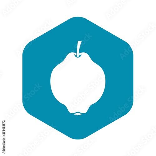 Quince fruit icon in simple style isolated on white background
