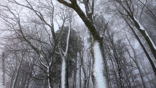 Shooting on the Swiss mountain during snowfall. photo