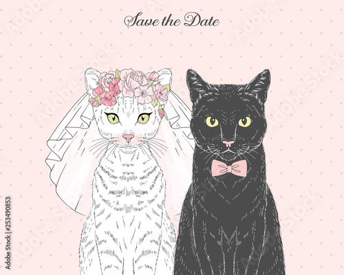 White cat bride in wedding veil and floral diadem and black cat groom in bow tie. Vector hand drawn animal illustration for save the date wedding party design.