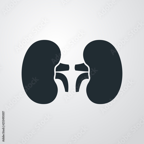  Icono plano riñones en fondo gris