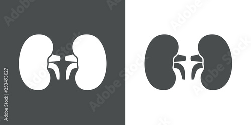  Icono plano riñones en gris y blanco