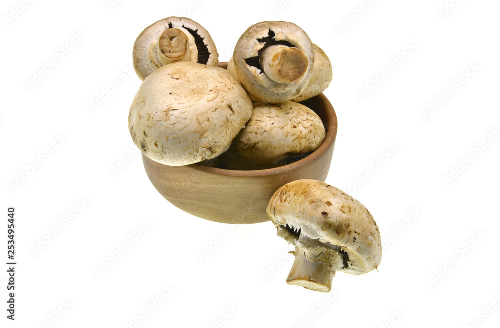 fresh mushrooms in a bowl isolated on white background fresh mushrooms in a bowl isolated on white background