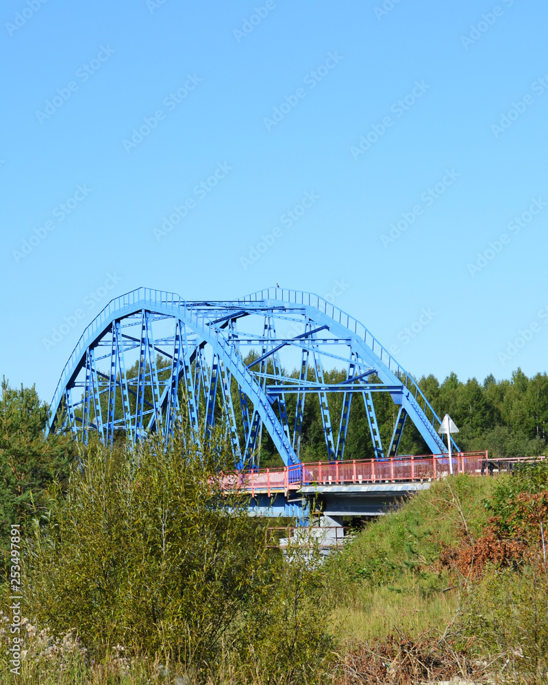 Blue bridge in the forest
