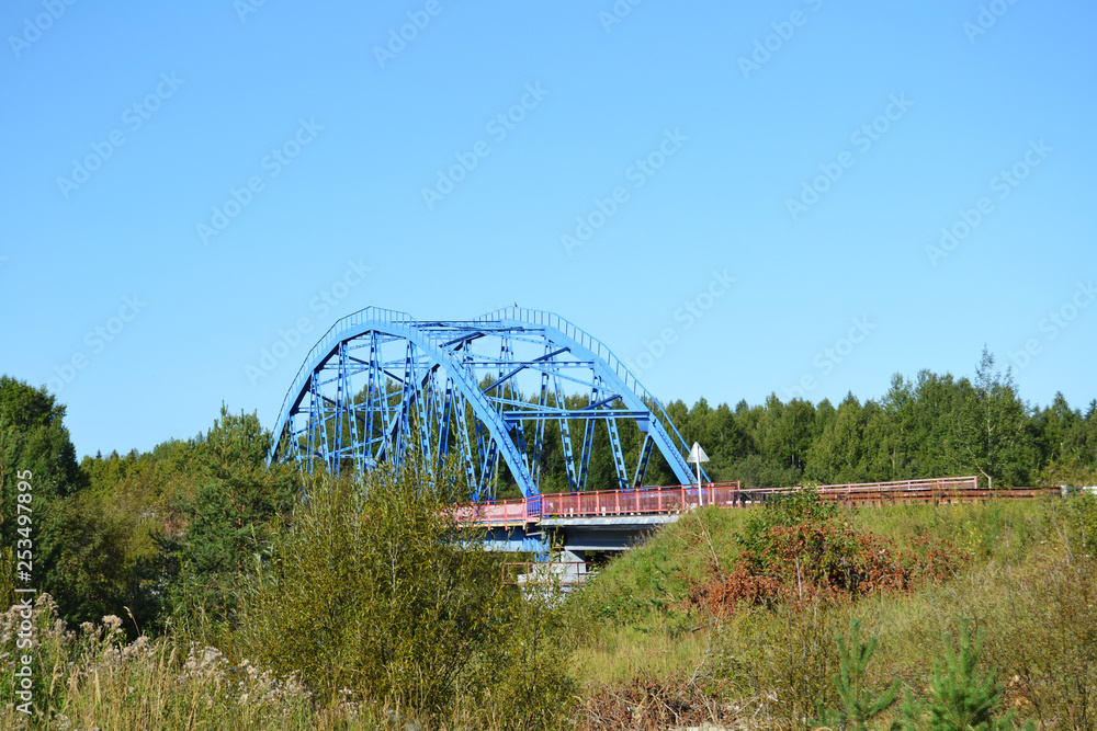 Blue bridge in the forest
