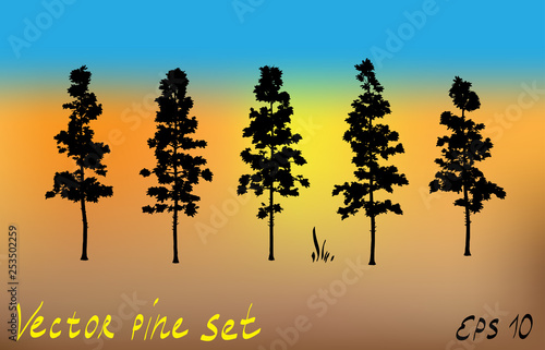Pacific northwest pine old growth evergreen tree silhouette set collection photo