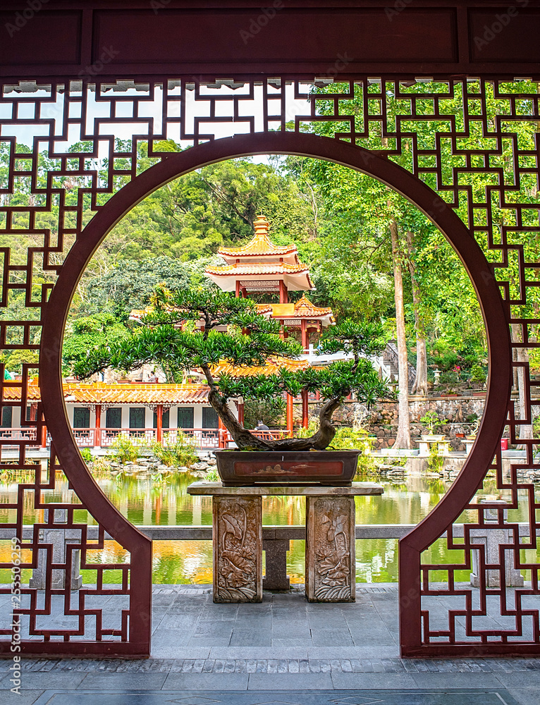 Poster de jardin avec Shenzhen Xianhu Botanical Garden bonsai garden ancient architecture garden courtyard corridor doors and windows #253506259