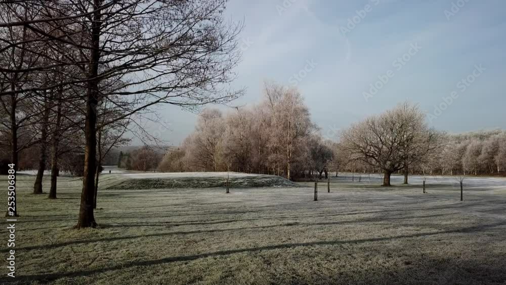 Long arcing panning shot alongside trees & over new planted sapling trees in white frosty meadow as sunrise casts long shadows across the ground. Long arcing panning shot alongside trees & over new planted sapling trees in white frosty meadow as sunrise casts long shadows across the ground.