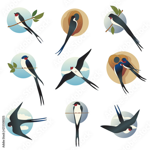 Flat vector set of martlets or barn swallows with circle shape background. Wild bird with long forked tail