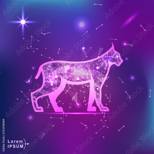 lynx. Polygonal wireframe lynx silhouette on gradient background. Space, futuristic, zodiac concept. Shine neon style vector illustration