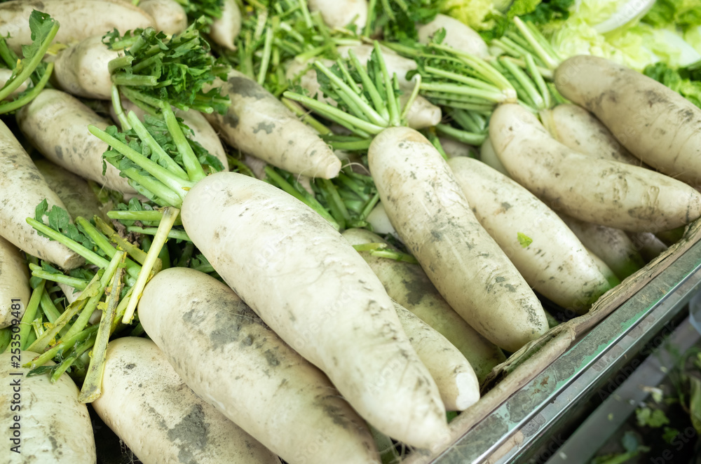radish vegetables in the traditional markek radish vegetables in the traditional markek
